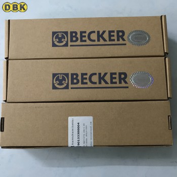 Cánh gạt Becker kích thước 250x39x4 mm bộ 4 cái