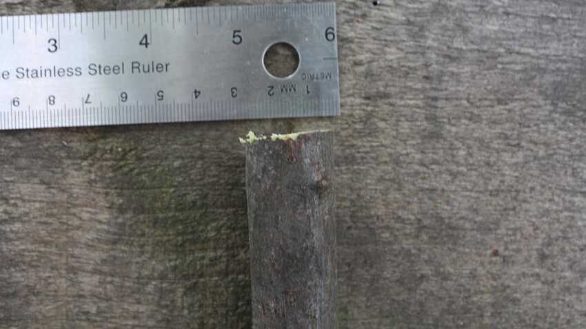 sử dụng thước lá