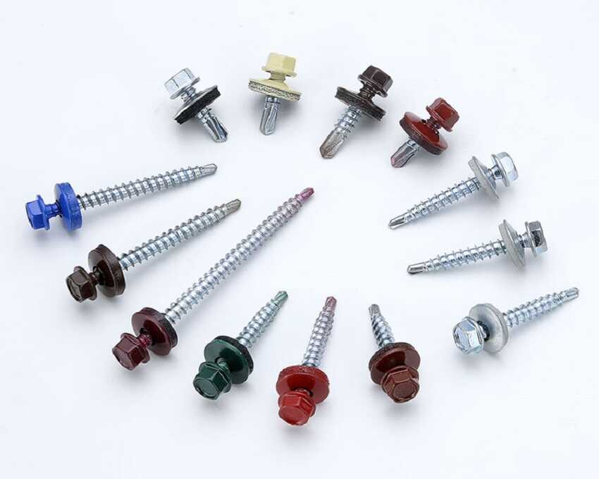 vít bắn tôn rồng