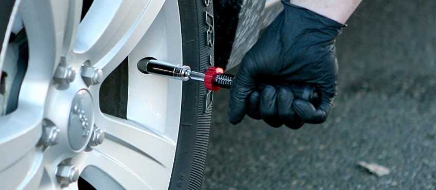 Tô vít lực là gì ?