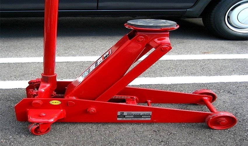 Con đội cá sấu 1