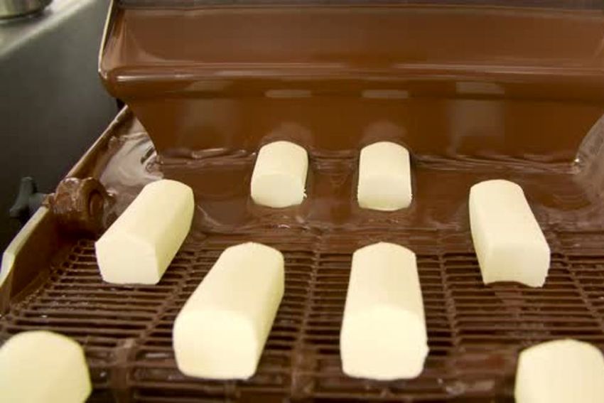 Băng tải cấp liệu 1