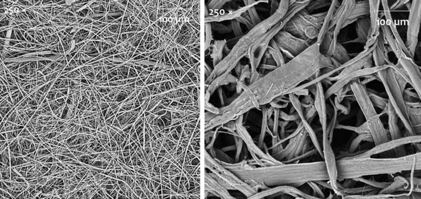 Vật liệu sợi thủy tinh (trái) và cellulose (phải) được chụp dưới kính hiển vi điện tử