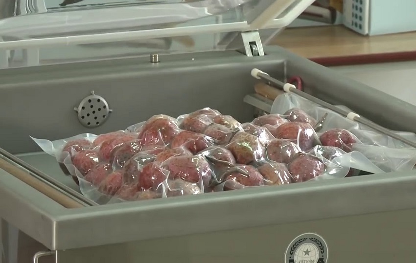 Máy hút chân không LOPDA P900-A