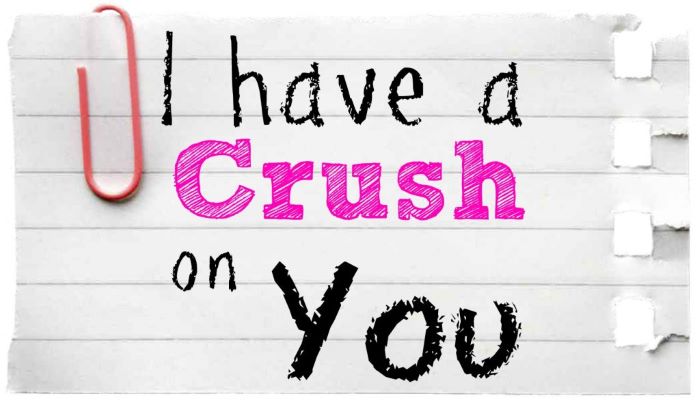 Crush có nghĩa là gì? Dấu hiệu bạn đã Crush ai đó? | DBK.vn