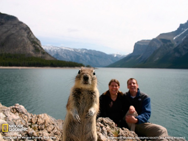 Meme Nuts the Squirrel