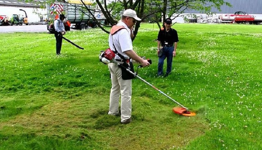 Máy cắt cỏ cầm tay 1