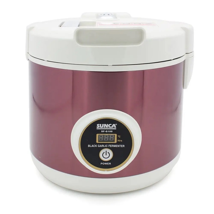 Máy làm tỏi đen 11