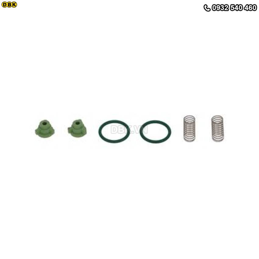 bo-xa-va-gas-ballast-nxds-a73501803