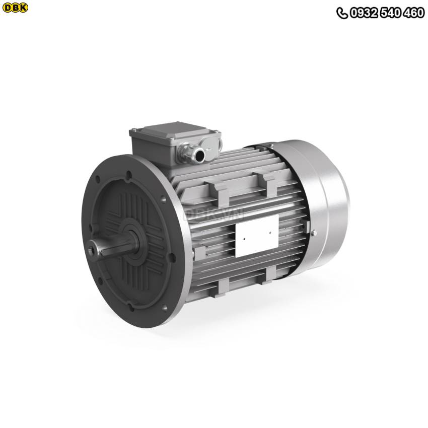 dong-co-30hp-460v-sa-ie2-a07120794