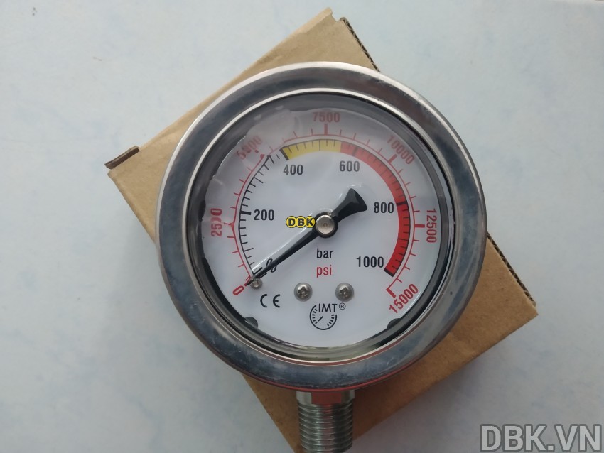 Đồng hồ đo áp suất 800 bar phi 60mm TLP SPG60 4