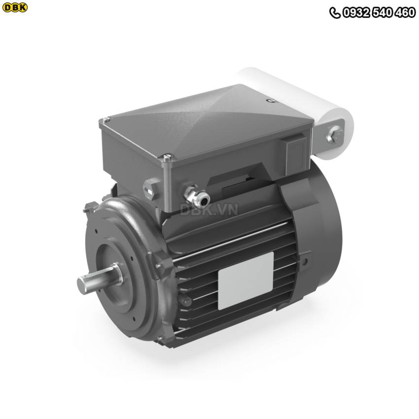 motor-1-pha-100-200v-pk1-a07110733