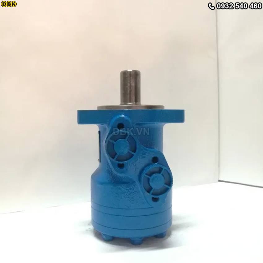 motor-thuy-luc-banh-rang-2-lo-bmr-100-551rpm-178nm