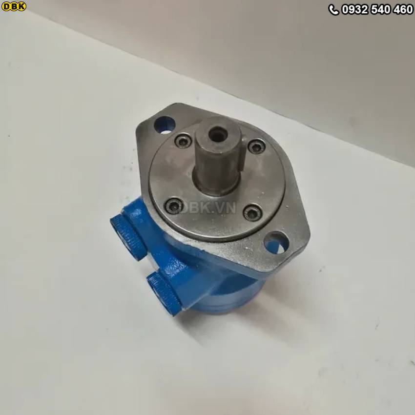 motor-thuy-luc-banh-rang-2-lo-bmr-125-440rpm-223nm