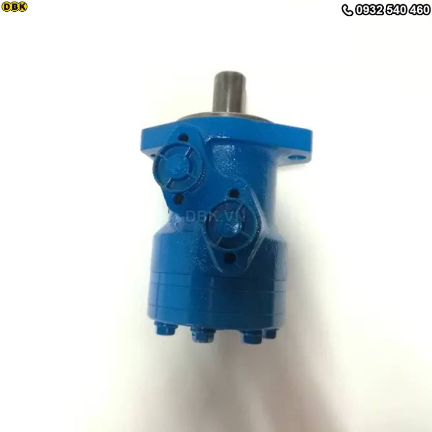 motor-thuy-luc-banh-rang-2-lo-bmr-160-344rpm-285nm