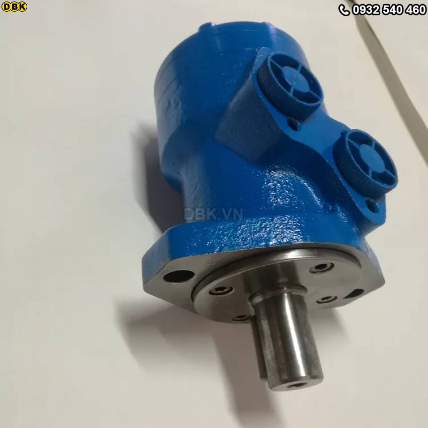 motor-thuy-luc-banh-rang-2-lo-bmr-200-276rpm-318nm