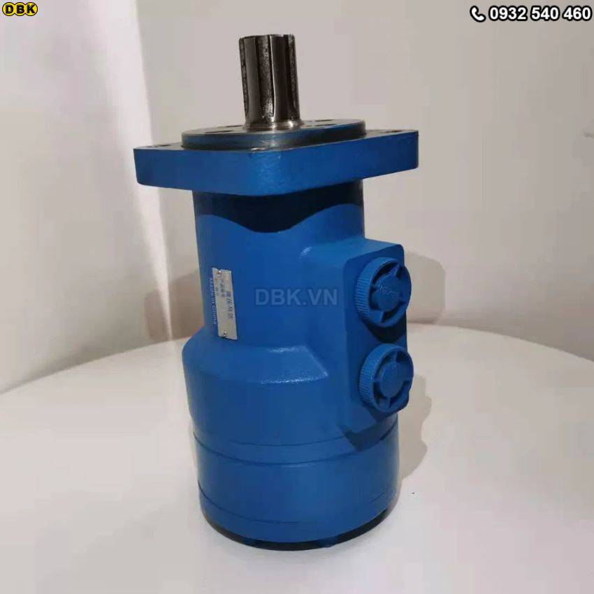 motor-thuy-luc-banh-rang-4-lo-bmr-200-276-vong-phut-318nm