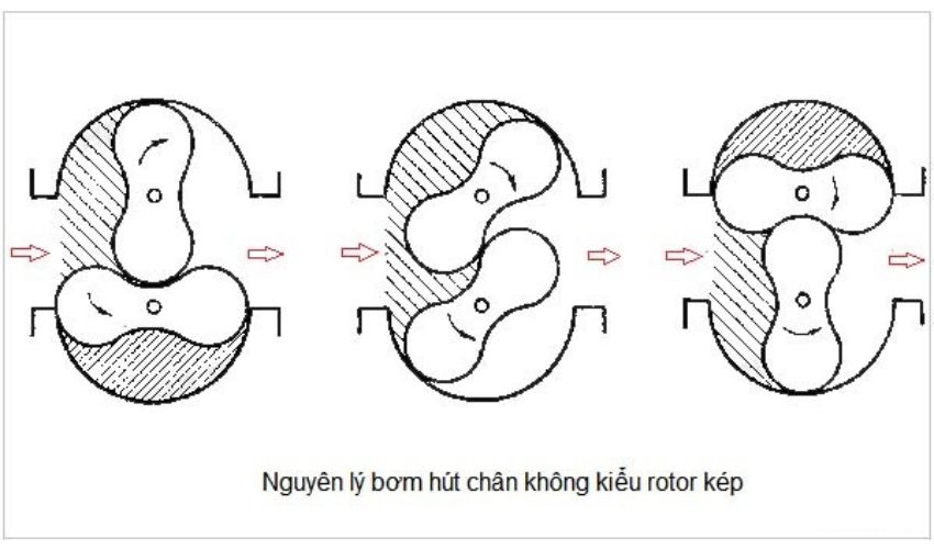 Nguyên lý hút chân không kiểu roto kép