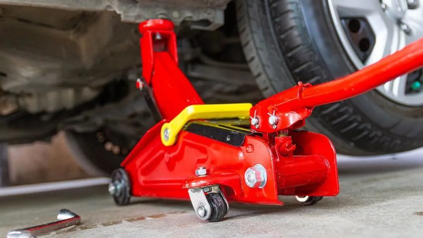 Tìm hiểu về công dụng của kích cá sấu