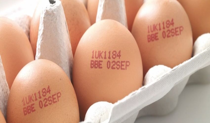 In hạn sử dụng