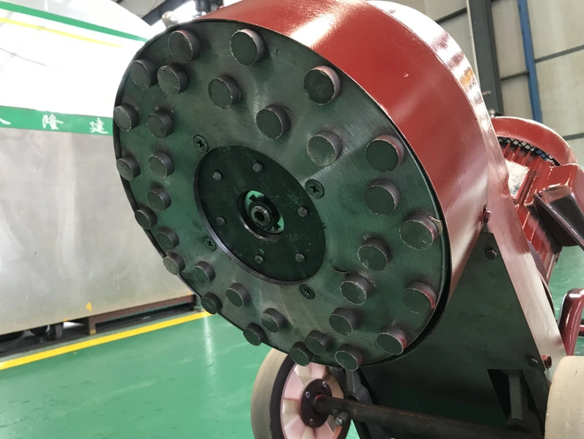 Máy mài sàn bê tông DMS250 5