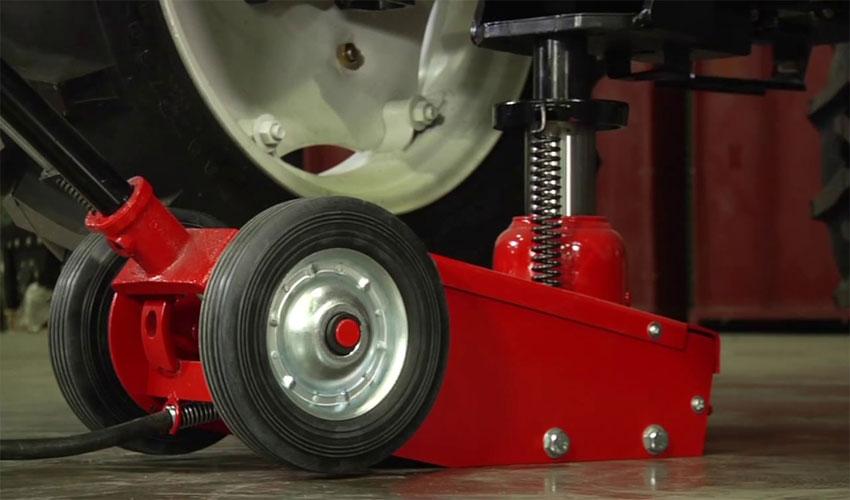 Con đội cá sấu 5