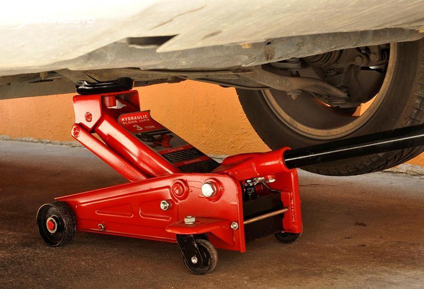 Con đội cá sấu 7