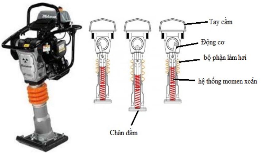 Máy đầm cóc Mikasa MT55 2
