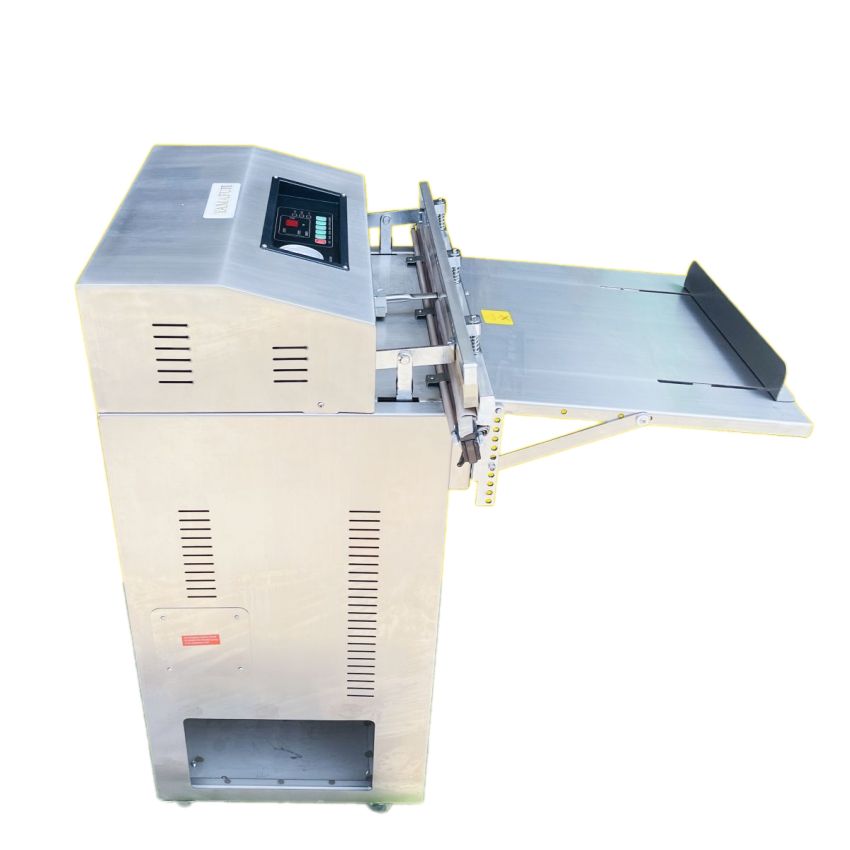 Tổng quan máy hút chân không vòi ngoài DZ-600W 2