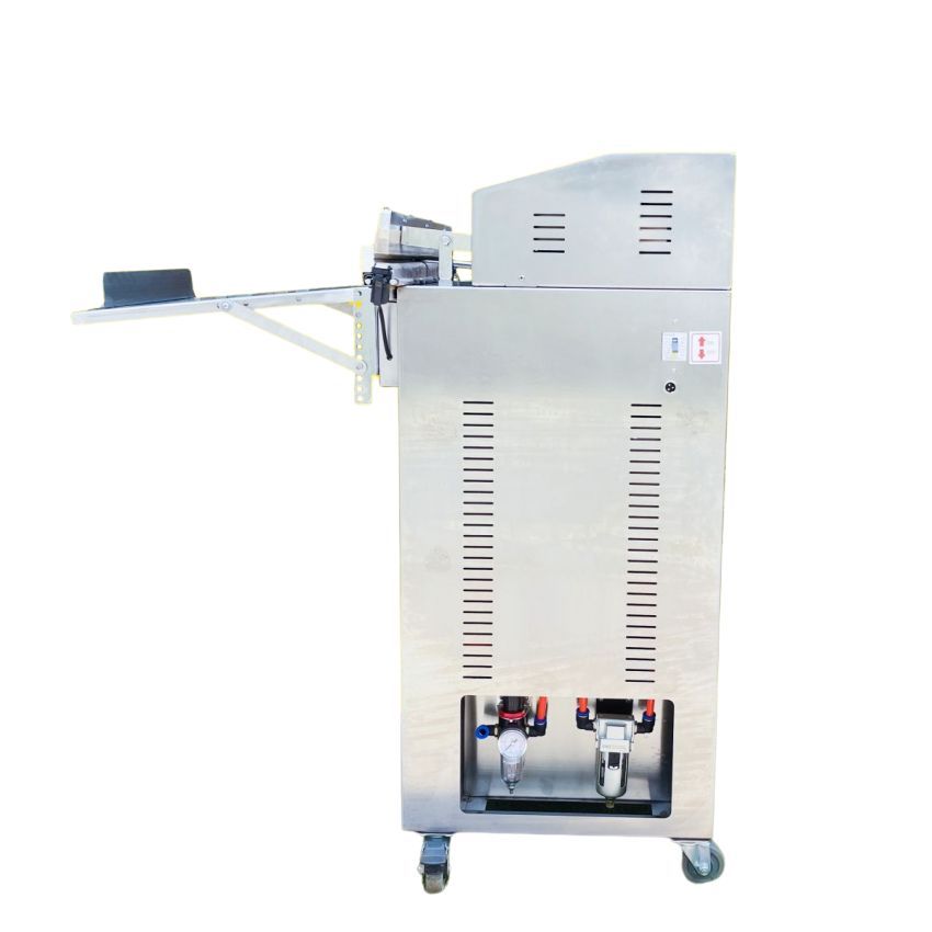 Tổng quan máy hút chân không vòi ngoài DZ-600W 3