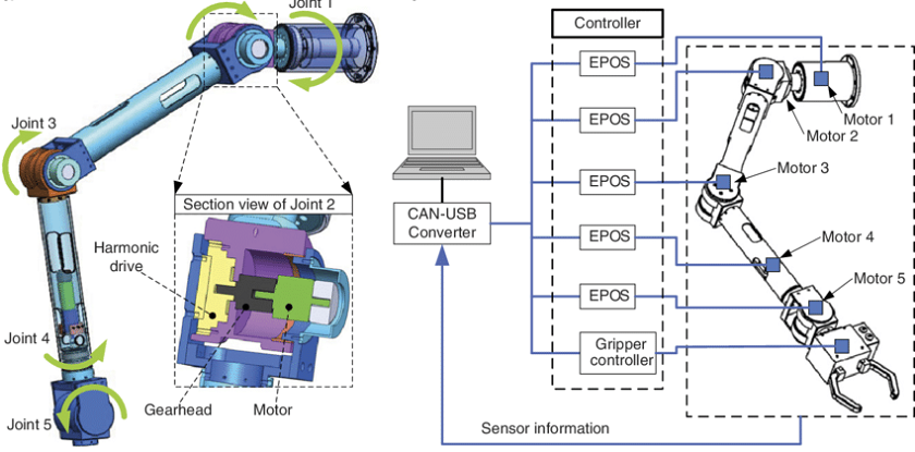 Bộ phận cánh tay