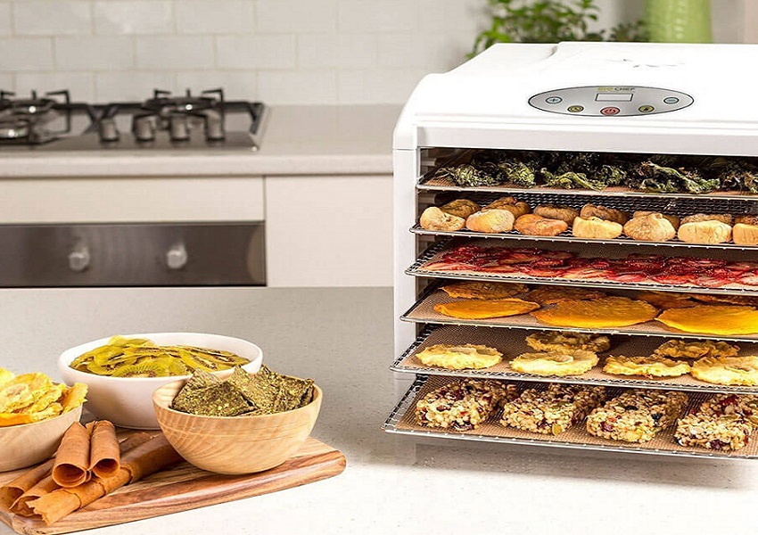 Vậy có nên mua máy sấy hoa quả không?