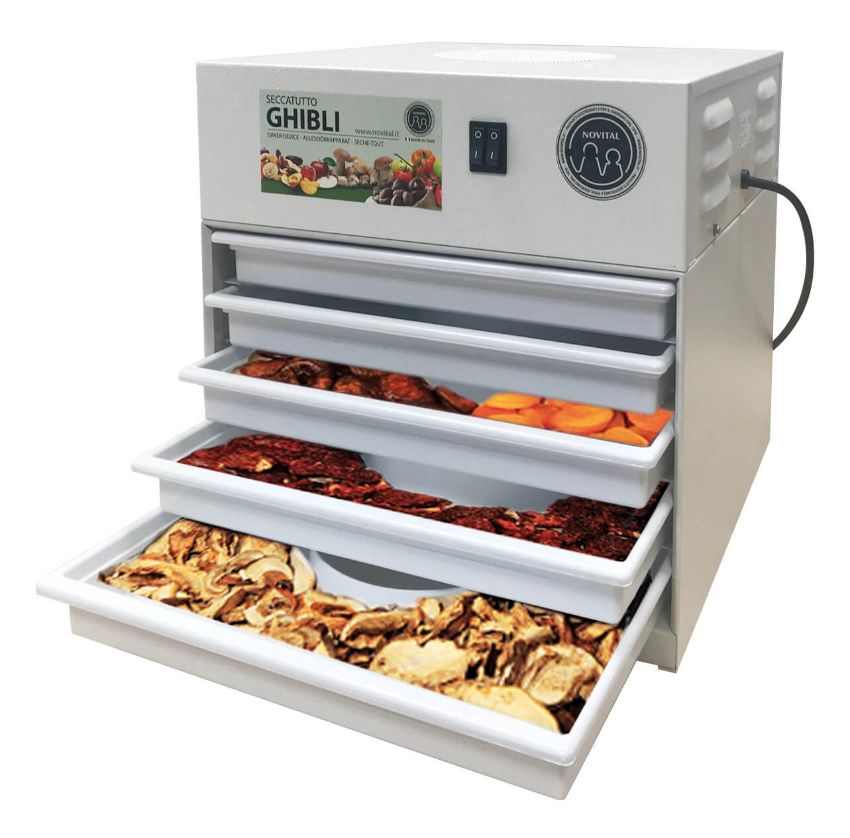 Vì sao nên mua một máy sấy thực phẩm gia đình?