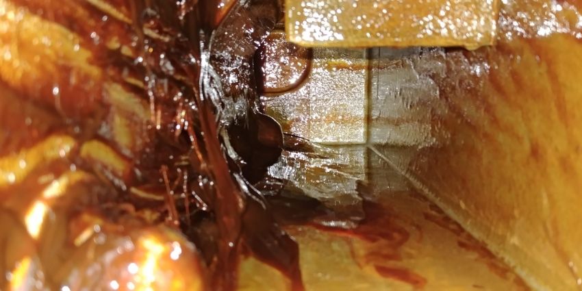 Dịch vụ sữa chữa bơm hút chân không Elmo Rietschle 3