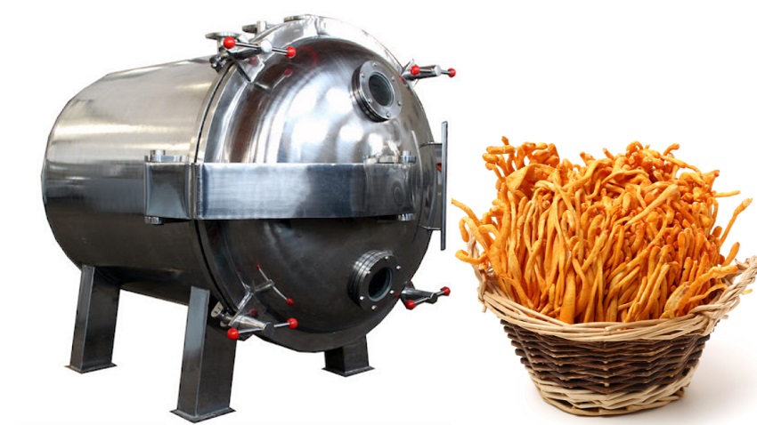 Máy sấy chân không thực phẩm là gì?