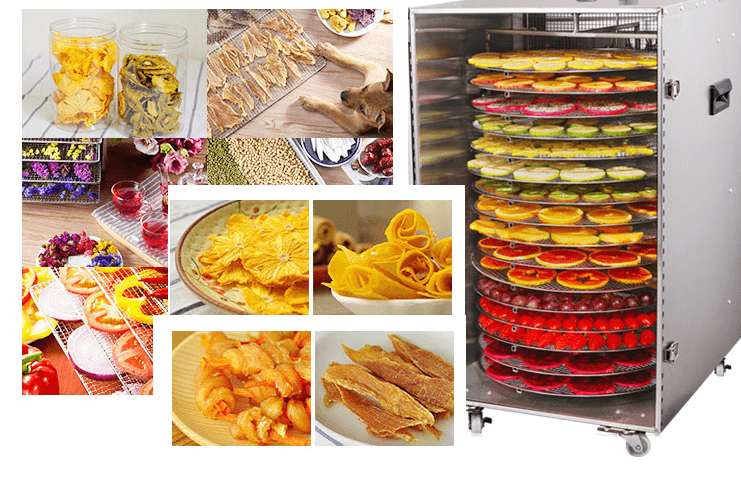 Máy sấy thực phẩm 9 khay tròn tự xoay được ứng dụng như thế nào?