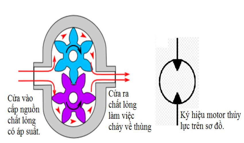 Nguyên lý hoạt động của motor thủy lực