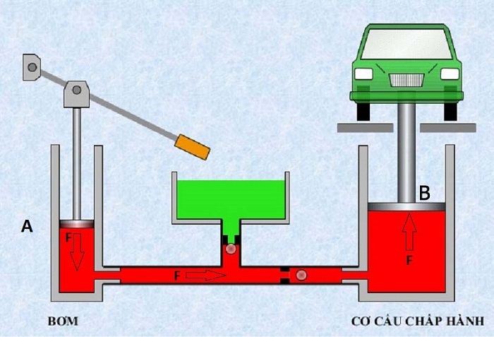 Cơ chế hạ xuống