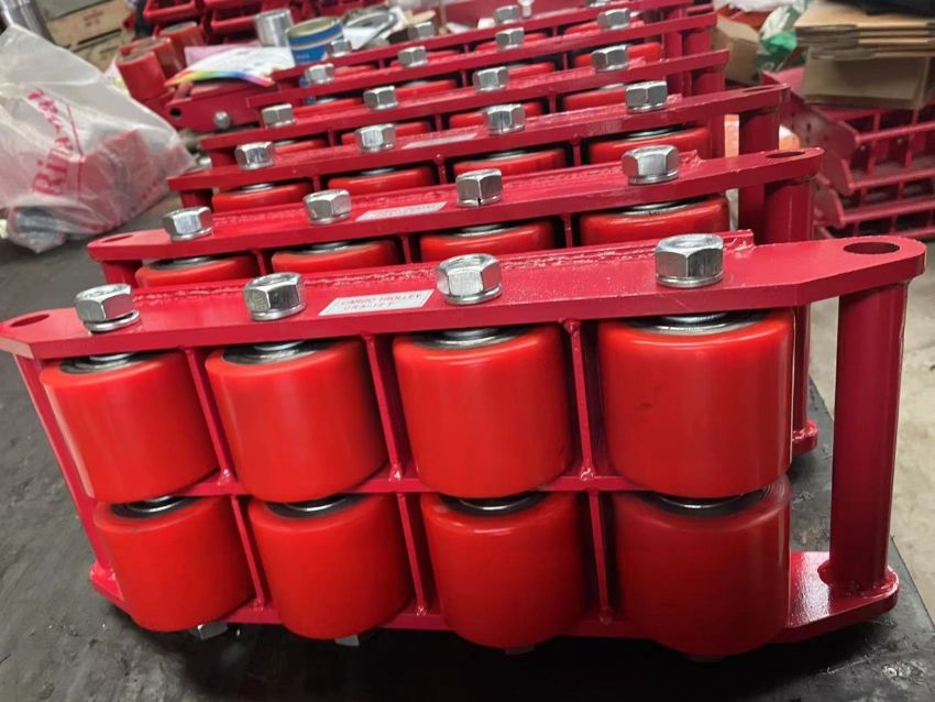 Vì sao rùa chuyển hàng lại được ưa chuộng? 4