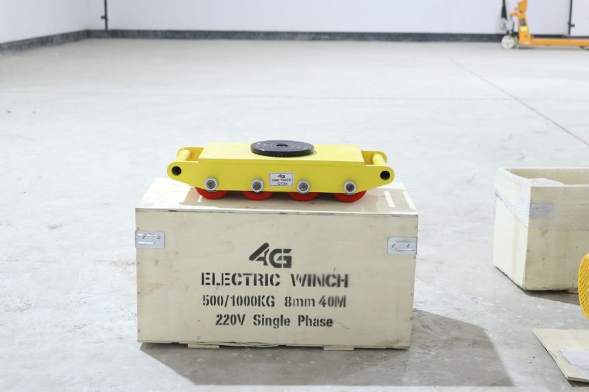 Vì sao rùa chuyển hàng lại được ưa chuộng?