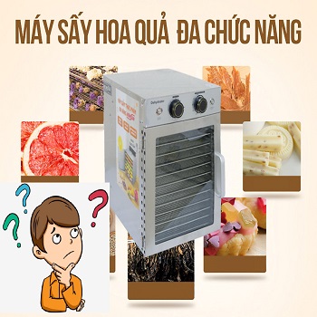 Có nên mua máy sấy hoa quả không?