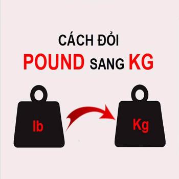 Công cụ chuyển đổi lbs sang kg