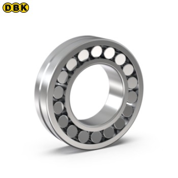 Bạc đạn con lăn ID 2.1654