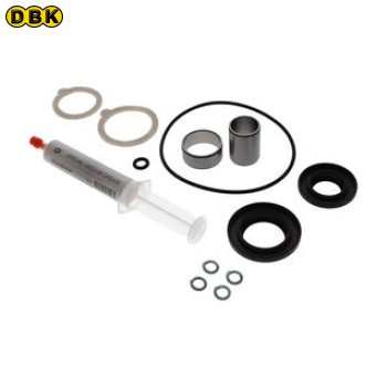 Bộ phớt trục + bạc lót DSS V65B/BIFC GK9604DS1