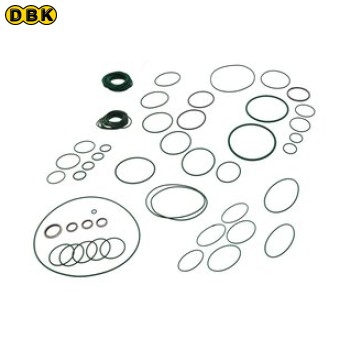 Bộ phụ tùng vòng O-ring DP (A70501821)