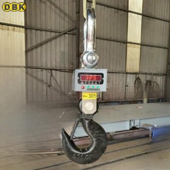 Cân treo điện tử 30 tấn OCS LC-OCS-K30T