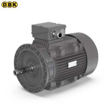 Động cơ 11KW IE3 châu Á 2 cực (A07118733)
