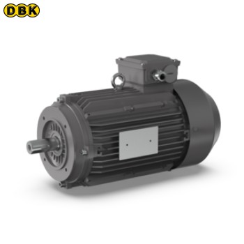 Động cơ 2.2KW IE3 EU/USA/CH 4 cực gói 1 cái (A07113780)