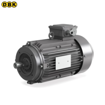 Động cơ 2.2KW IE3 EU/USA/CH 4 cực gói 1 cái (A07113797)