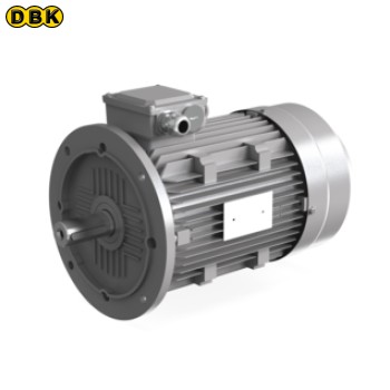Động cơ 20HP 230/460V 60HZ IE2, A07119790